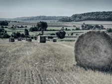 Blick über Felder mit Ernte