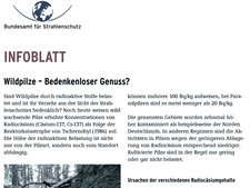 Wildpilze – Bedenkenloser Genuss? Wildpilze – Bedenkenloser Genuss?
