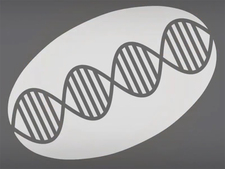 DNA-Sequenz