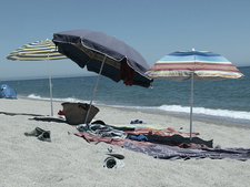 Parasols