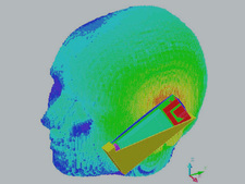 Graphic depiction of the SAR at the heads surface
