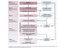 Flowchart of the screening chain