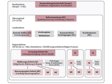 Screening-programme structure