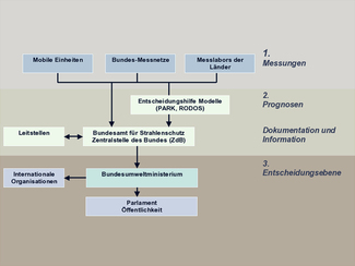 Organisational structure