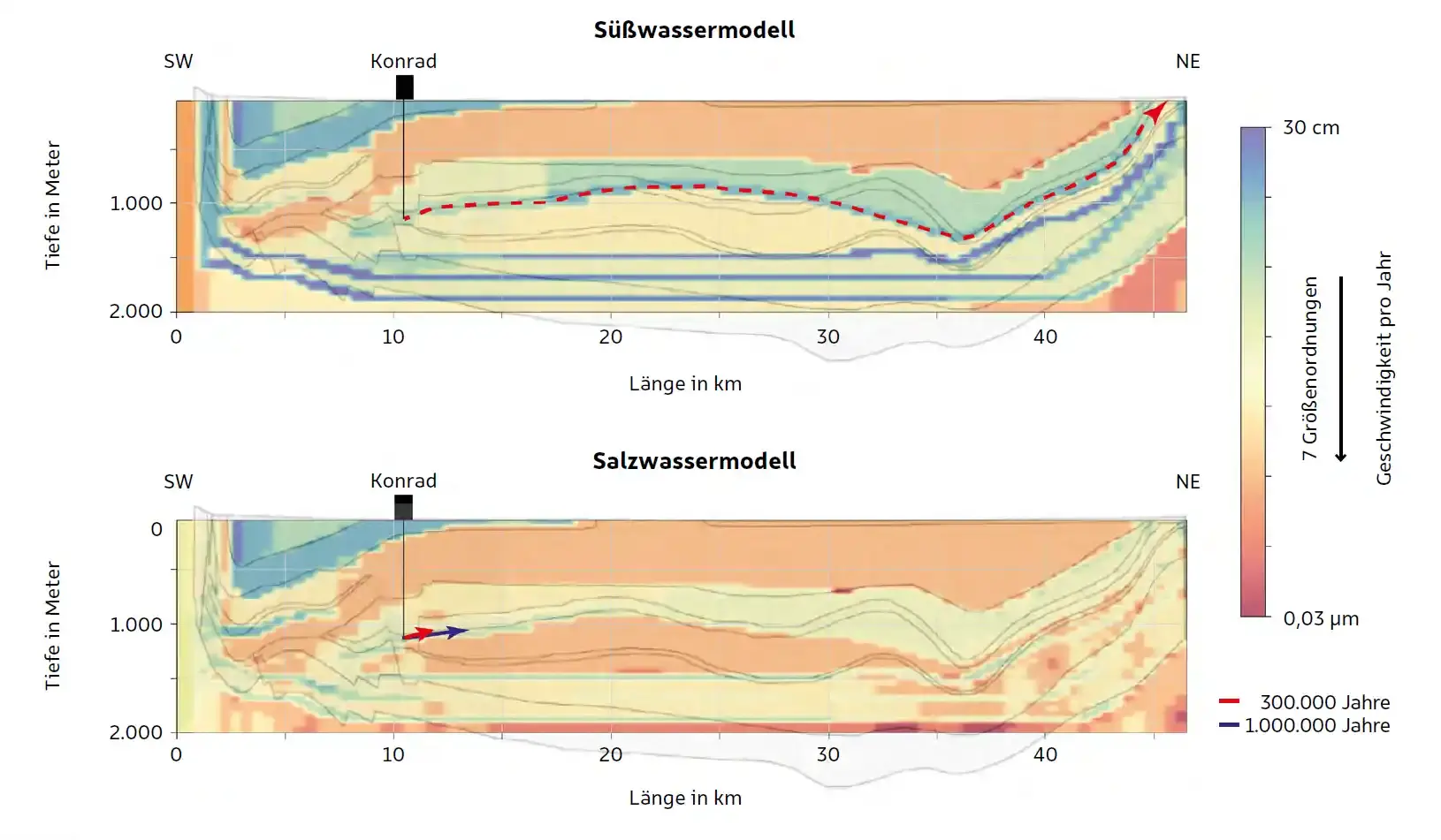 Die Grafik zeigt, dass Grundwasser im Süßwassermodell schneller ist als im Salzwassermodell