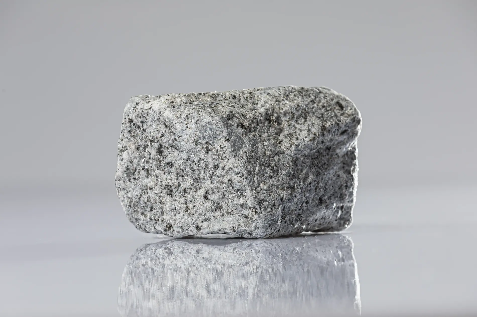 A gray-mottled lump of rock lies on a table, slightly reflected in its smooth surface.