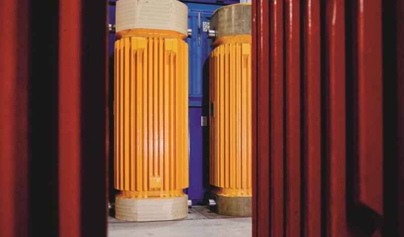 Foto von zwei gelben Castoren