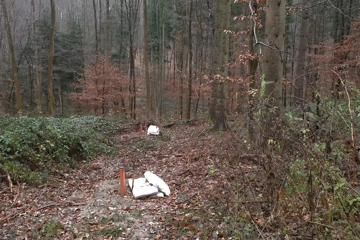 In einem Wald ragen Rohre aus dem Boden. Daneben liegen weiße Säcke.