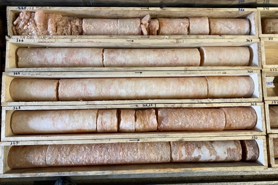 Mehrere zylindrische Bohrkerne aus Salzgestein liegen in einer großen Holzkiste. 