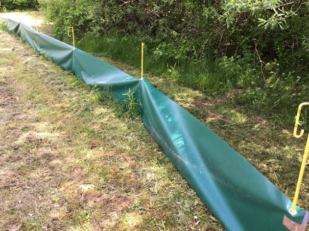 Amphibienbarriere, die in den Boden gesteckt ist