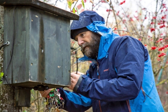 An einem Baum ist ein Holzkasten angebracht. Marko Eigner öffnet den Holzkasten, um an die Messtechnik zu gelangen.