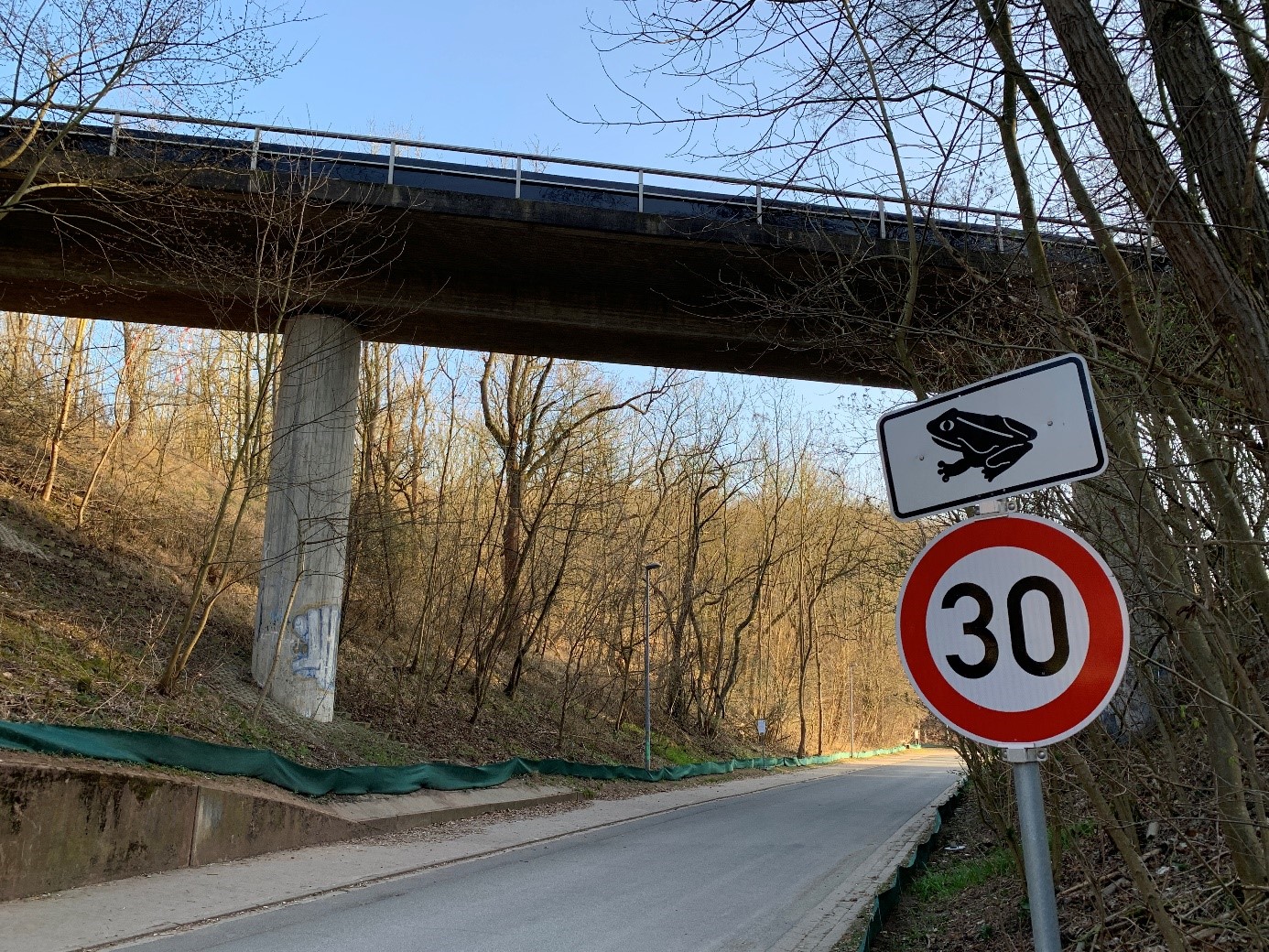 Eine Brücke verläuft über eine Straße. Brücke und Straße sind mit Amphibienschutzzäunen gesäumt. Ein Straßenschild weist auf mögliche Amphibien hin.