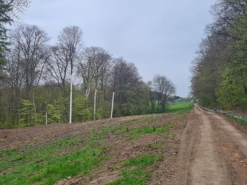 Es ist ein Feldweg am Waldrand zu sehen. Links des Feldweges ist eine Freifläche zu sehen, hinter der sich erneut Wald anschließt.