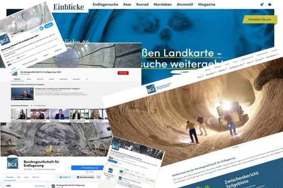 Collage von Ausschnitten der BGE-Webseite