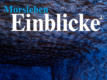 Einblicke Nr. 3 Morsleben