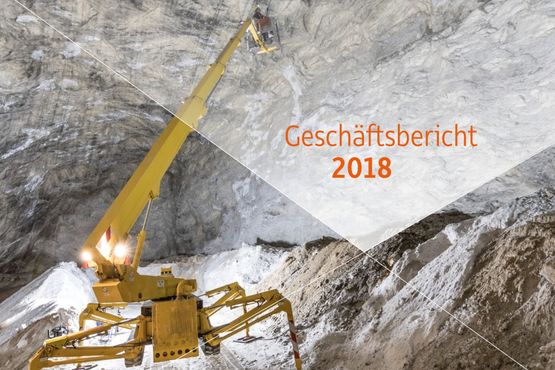 Geschäftsbericht der BGE 2019