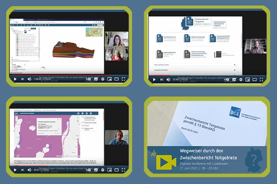 Zusammenstellung von Screenshots der Video-Konferenz. BGE-Mitarbeitende erklären die Webseiten der BGE durch Bildschirmteilung.